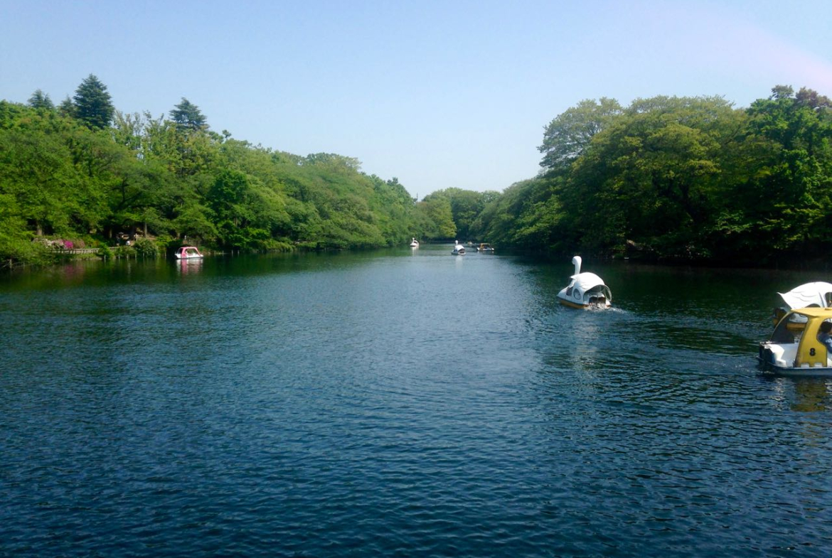 Kichijoji Park House Rm9