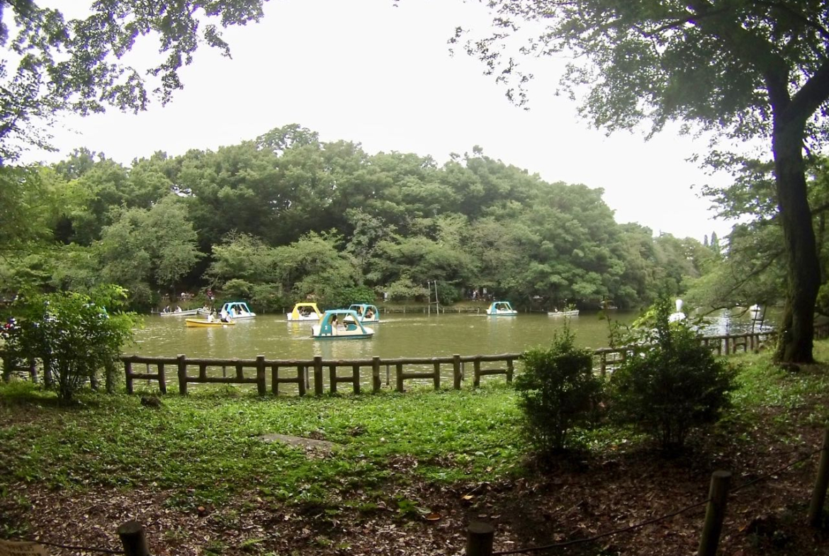 Kichijoji Park House Rm9