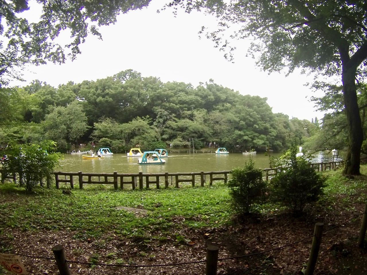 Kichijoji Park House Rm9